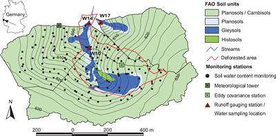 Deforestation alters dissolved organic carbon and sulfate dynamics in a mountainous headwater catchment—A wavelet analysis